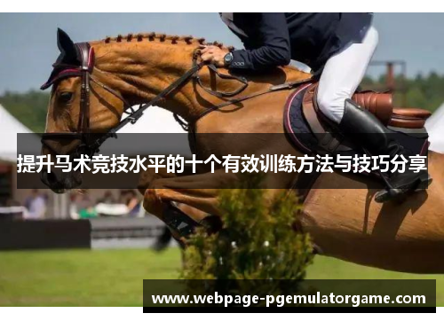 提升马术竞技水平的十个有效训练方法与技巧分享 提升马术竞技水平的十个有效训练方法与技巧分享