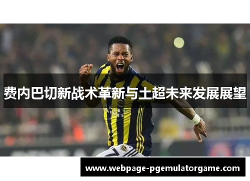 费内巴切新战术革新与土超未来发展展望 费内巴切新战术革新与土超未来发展展望