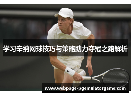 学习辛纳网球技巧与策略助力夺冠之路解析