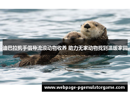 迪巴拉携手倡导流浪动物收养 助力无家动物找到温暖家园