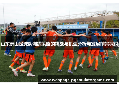 山东泰山足球队训练策略的挑战与机遇分析与发展前景探讨