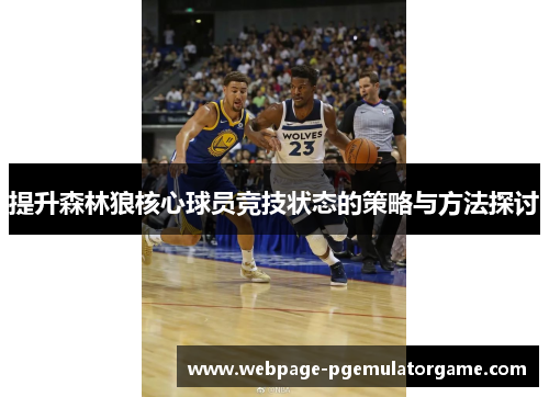 提升森林狼核心球员竞技状态的策略与方法探讨