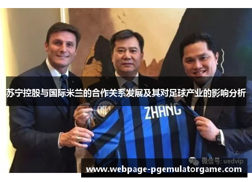 苏宁控股与国际米兰的合作关系发展及其对足球产业的影响分析