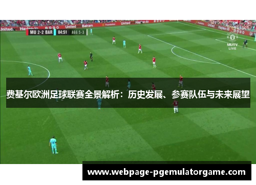 费基尔欧洲足球联赛全景解析：历史发展、参赛队伍与未来展望